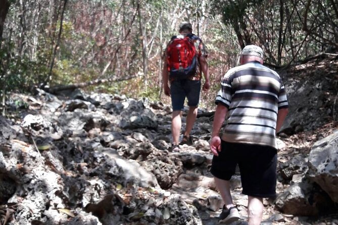 Sam Roi Yod National Park & Praya Nakhon Cave Join Group Tour - Tour Details