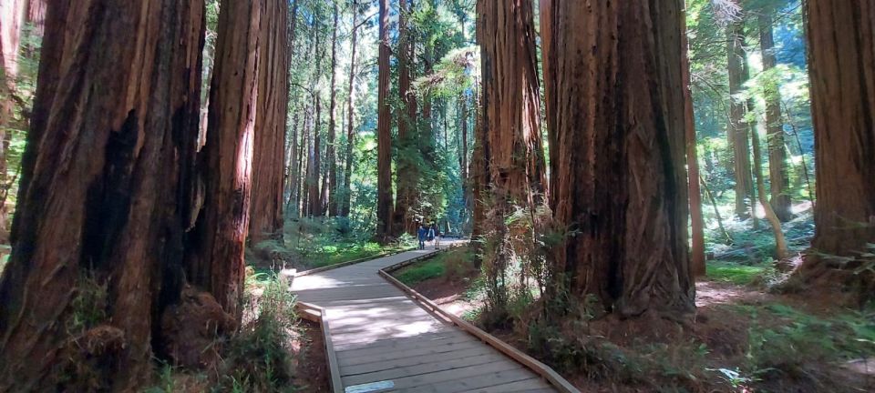 San Francisco: Muir Woods and Sausalito Small Group Tour - Golden Gate Bridge Photo Stop