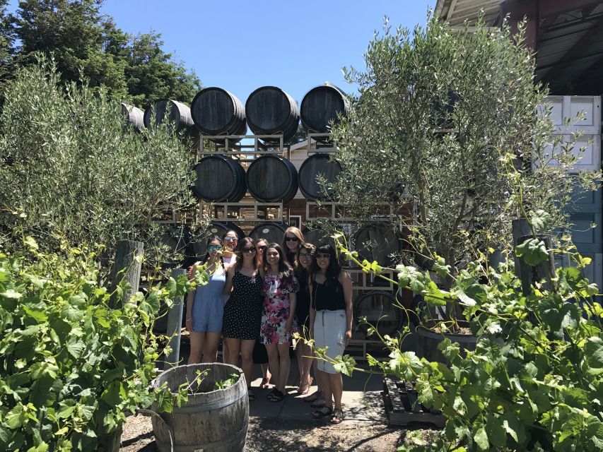 San Francisco: Small-Group Sonoma Wine Tour With Tastings - Winery Experiences