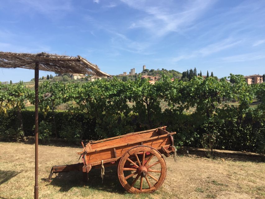 San Gimignano: Saffron and Vernaccia Tasting With Lunch - Hidden Medieval Town Discovery