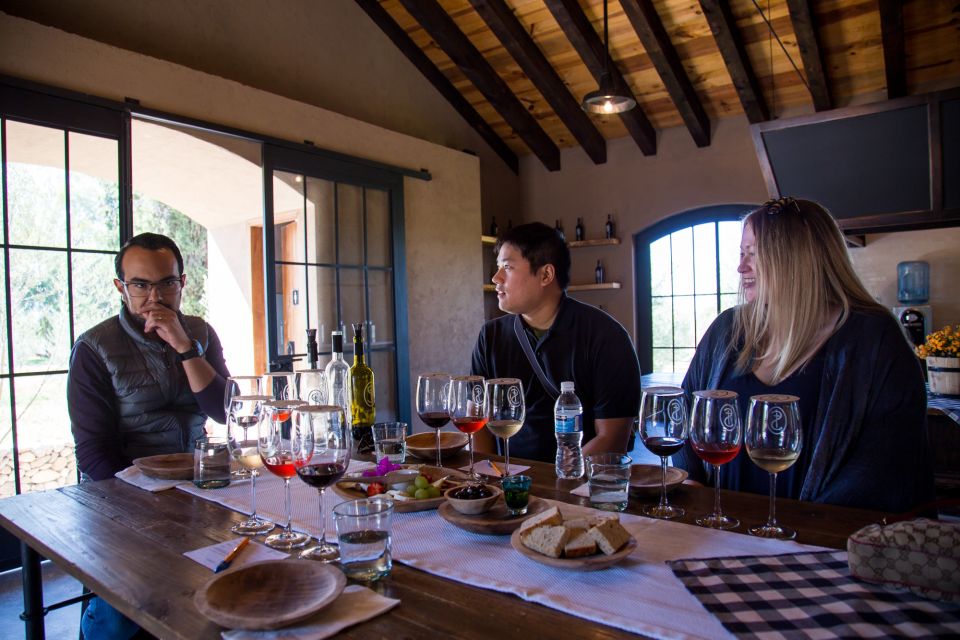 San Miguel De Allende: Tour of 2 Vineyards With Wine Tasting - Tasting the Varieties