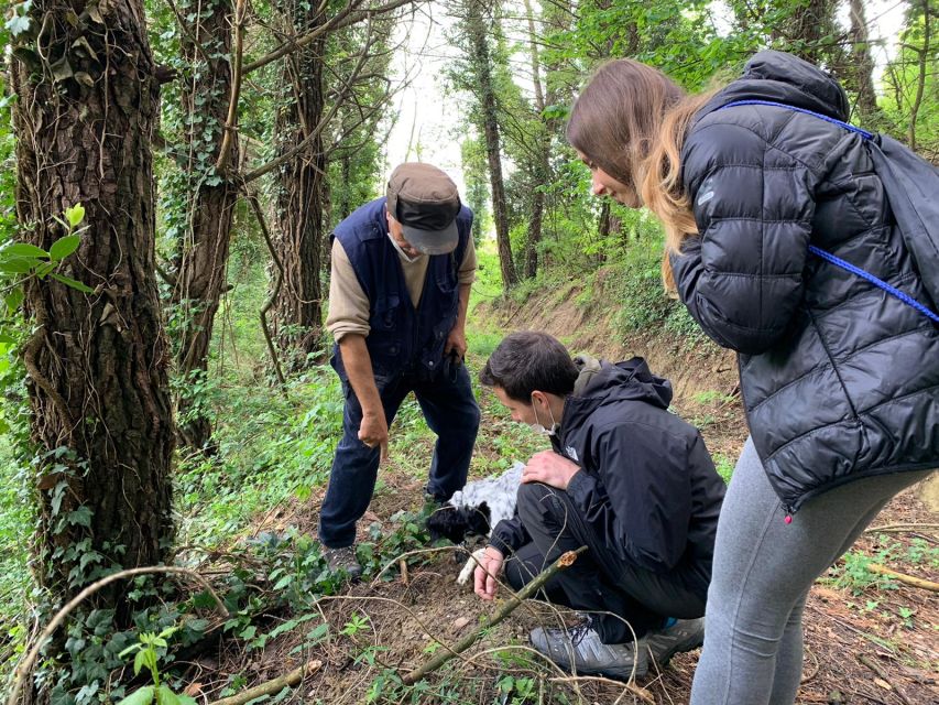 San Miniato: Truffle Hunting in The Tuscan Countryside - Pricing and Booking Information