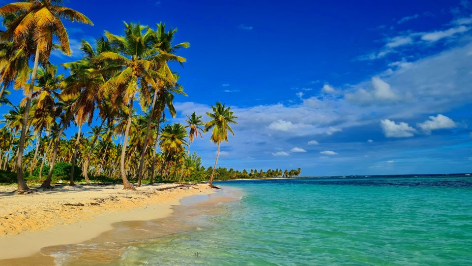 Saona Island: All-Inclusive Full-Day Tour - Saona Island Exploration