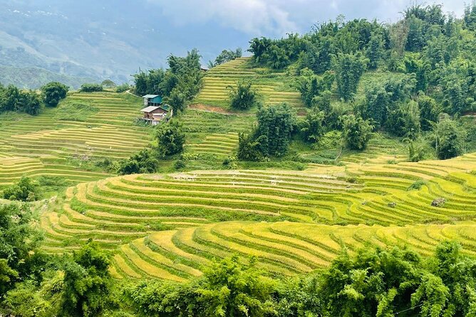 Sapa Motorbike Tour With Local Guide 1 Day - Additional Costs