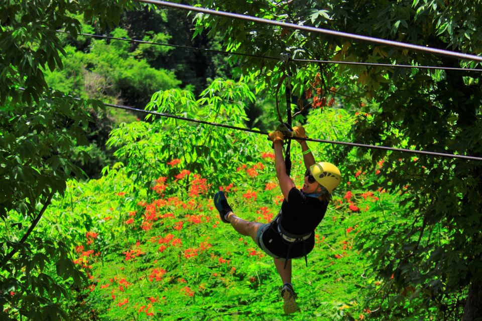 Sayulita/Punta Mita: Zip Lines With Ocean View - Included