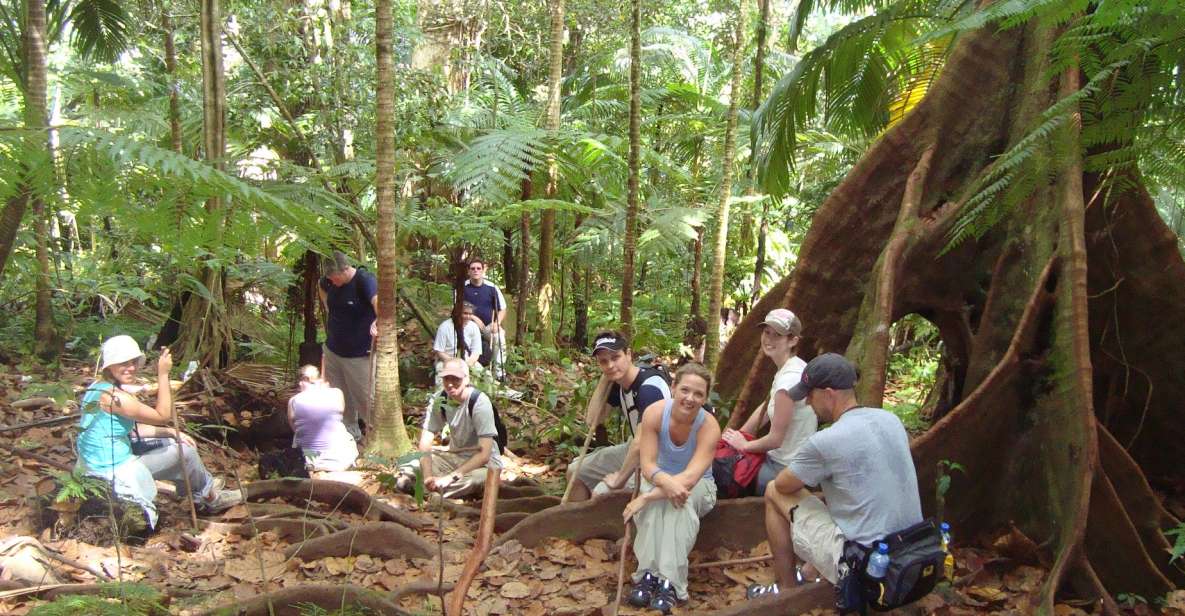 Scenic Rainforest Hike - Savoring Local Delicacies