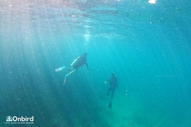 Scuba Diving for Certified Divers in Phu Quoc Island - Safety Measures and Guidelines