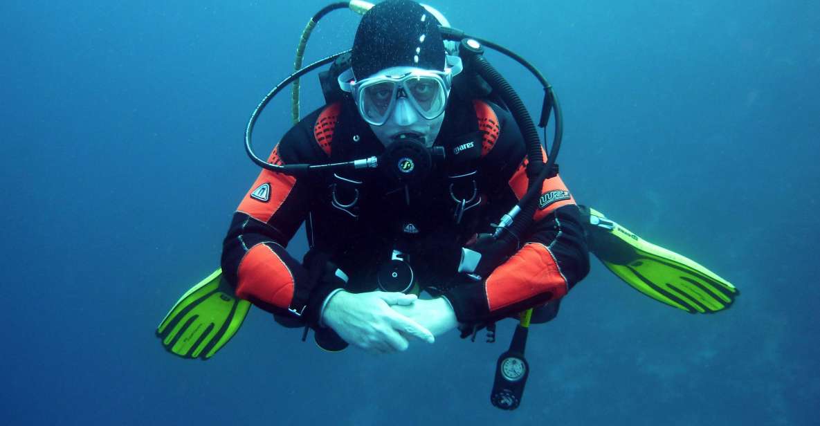 Scuba Diving Tour in Puerto Plata Hotel/Shore - Observing Atlantics Larger Fish