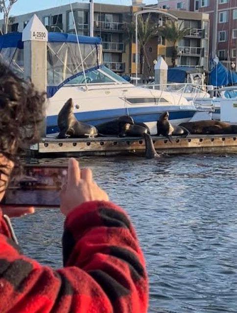 Sea Lion Boat Tour With Experienced Guide BYOB - Meeting Point