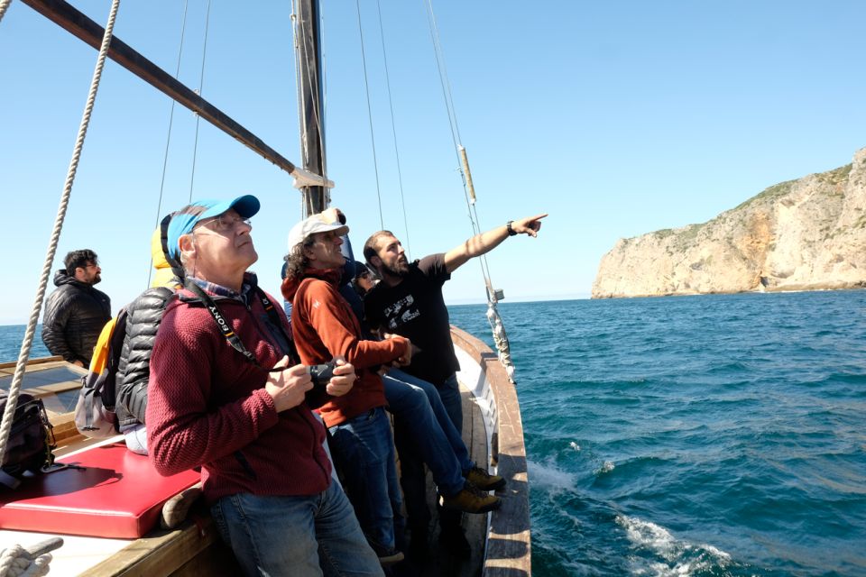 Sesimbra: Cliffs, Bays & Beaches Aboard a Traditional Boat - Guided Boat Tour Details