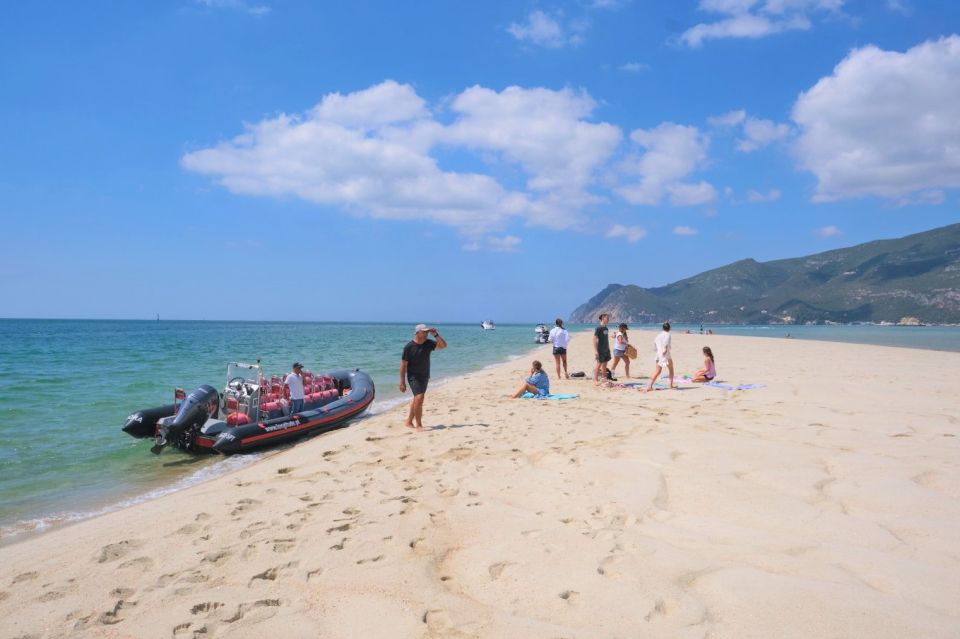 Setúbal: Dolphin-Watching Boat Tour - Meeting Point & Directions