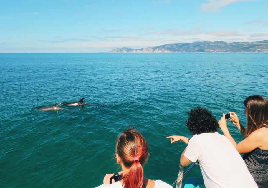 Setúbal: Dolphin Watching Tour - What to Bring