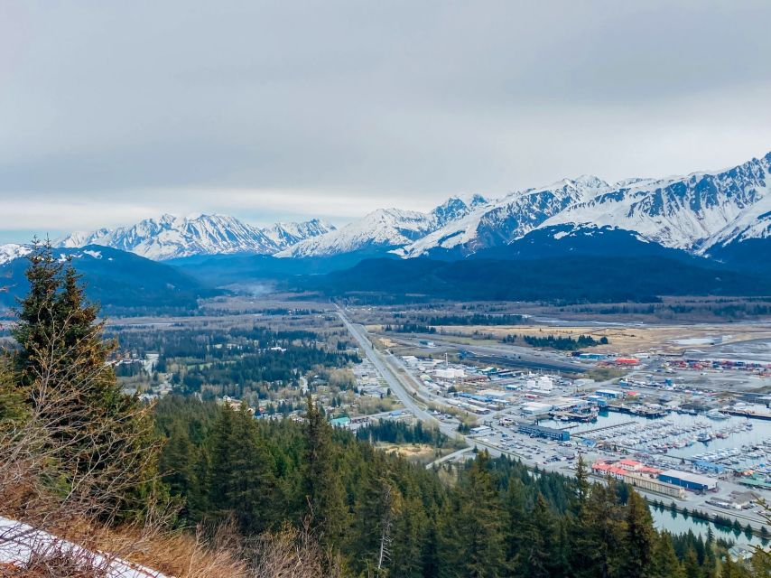 Seward: Guided Wilderness Hike With Transfer - Packing Essentials for the Tour