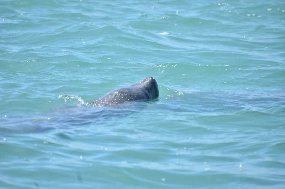 Sian Ka'an Biosphere Reserve Full-Day Discovery Tour - Boat Tour in Campechen Lagoon