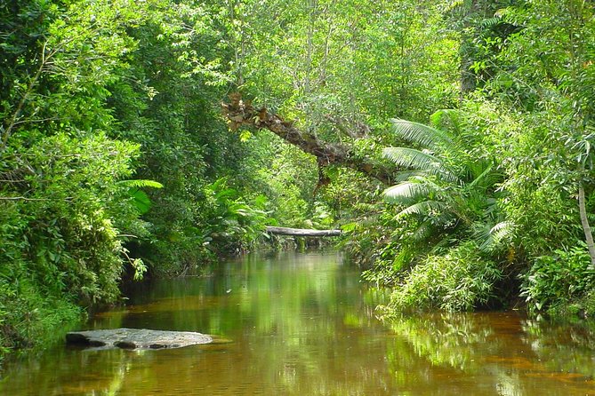 Siem Reap: Kulen Waterfall and 1000 Lingas River Private Tour - Inclusions and Exclusions