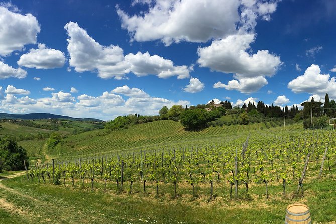 Siena: A Wine Tour and Tasting Experience - Guided Cellar Visit