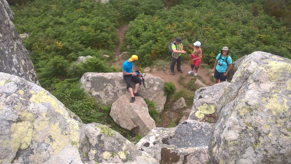 Sintra: Walking Tour With Palace, Castle, and Old Town Visit - Directions to Meeting Point