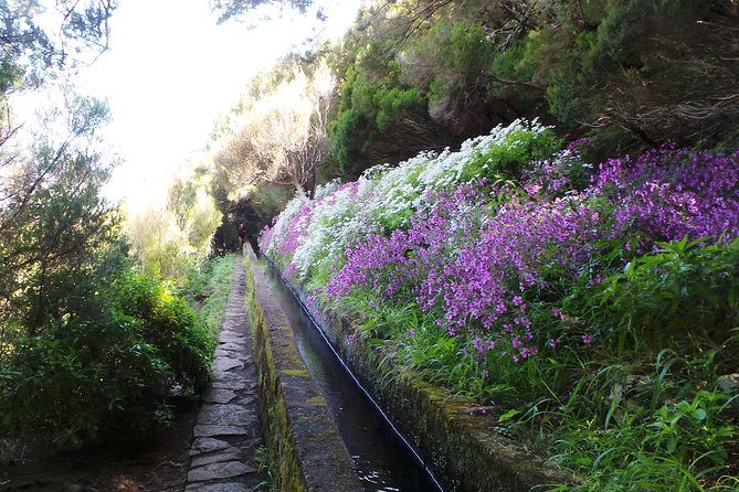 Skywalk 4x4 Experience and the Rabacal 25 Fountains Levada Walk - Wildlife Encounters in Jeep