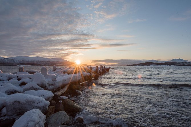 Small-Group Arctic Sightseeing Tour With Citizen Science From Tromso - Additional Information