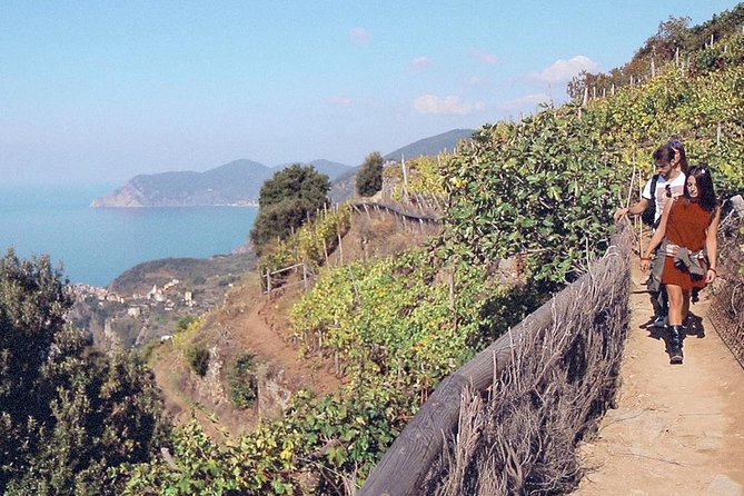 Small-Group Cinque Terre Discovery With Seafood Lunch - Seafood Lunch and Wine Tasting