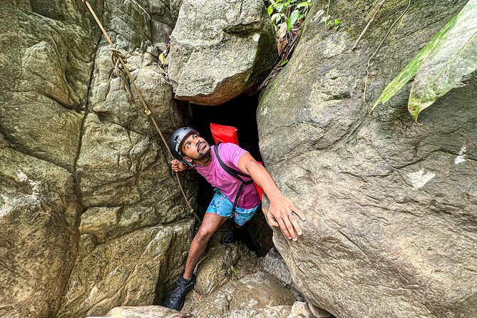 (Small-Group) El Yunque Tour With Transportation / 7AM or 12PM - Hike Duration and Difficulty