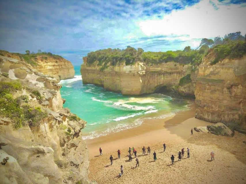 Small Group Great Ocean Road Day Tour Lunch Included - Customer Reviews and Testimonials