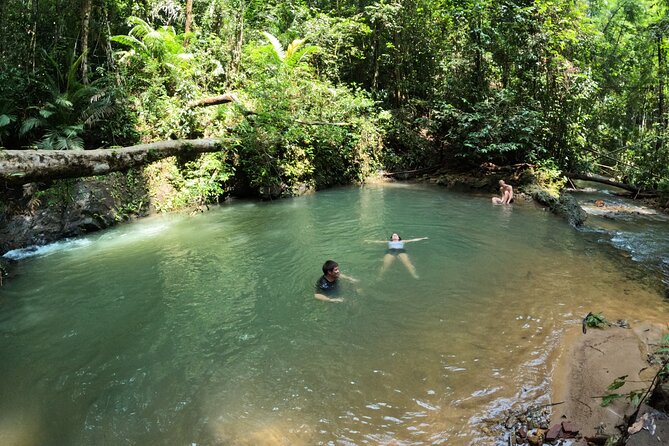 Small-Group Jungle Hiking Excursion in Khao Phra Teaw Park - Booking and Cancellation