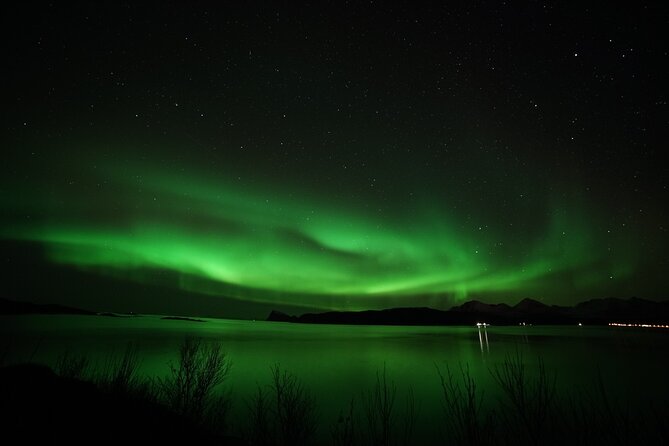 Small Group Northern Lights Chase From Tromso - Group Size and Recommendations