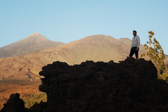 Small Group Teide National Park Volcanic and Forest Wonders - Trekking Through Pine Forests