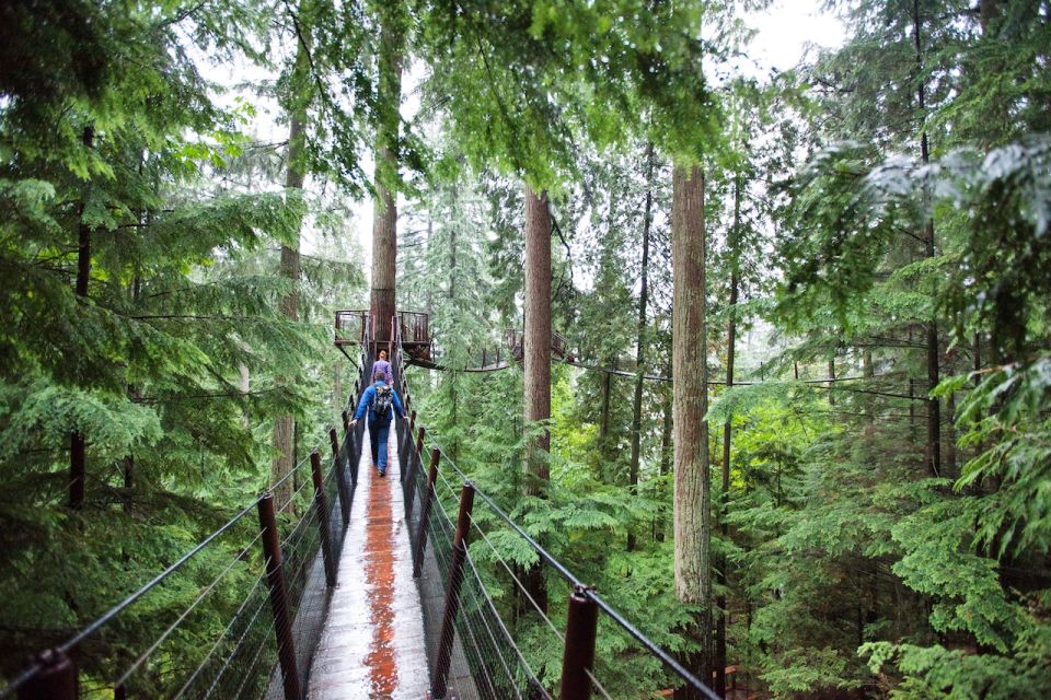 Small Group Tour of Capilano Bridge & Grouse Mountain - Booking and Availability