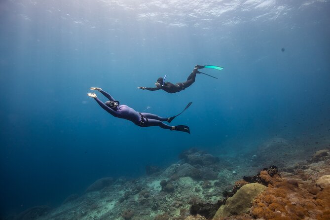 Snorkeling and Freediving Trip Around Nusa Penida - Popular Sites