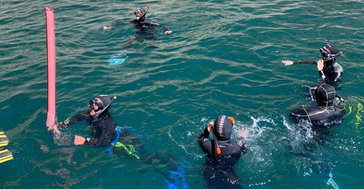 Snorkeling in Sesimbra - Dive Into Crystal Clear Waters