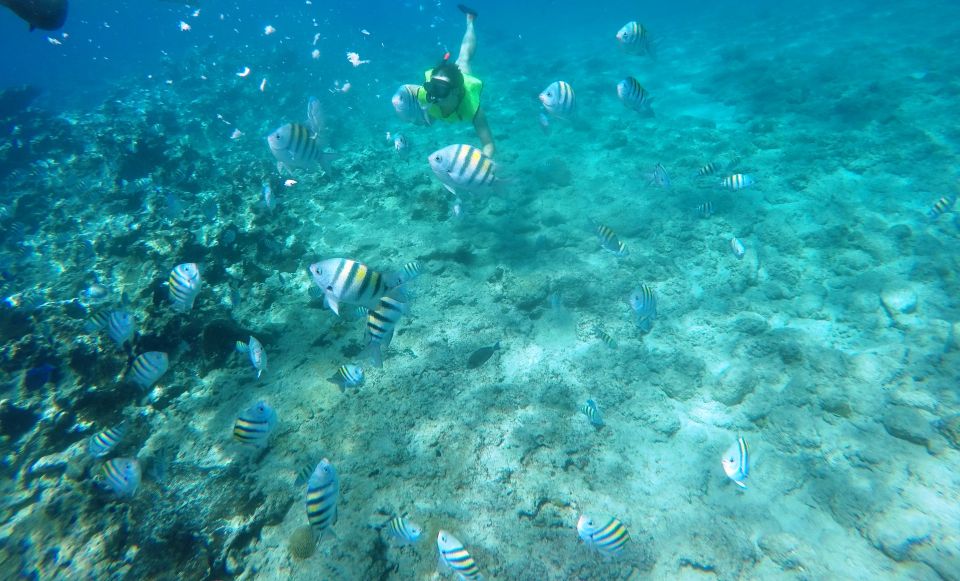 Snorkeling Tour & Sosua Beach Day - Snorkeling Equipment