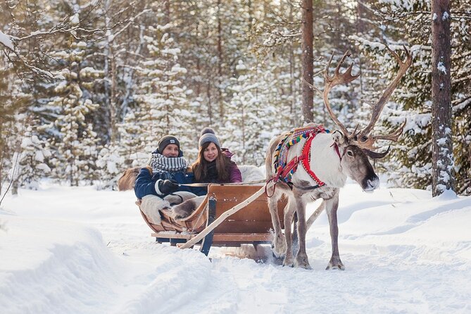 Snowmobile & Animals Day Tour - Snowmobile Ride