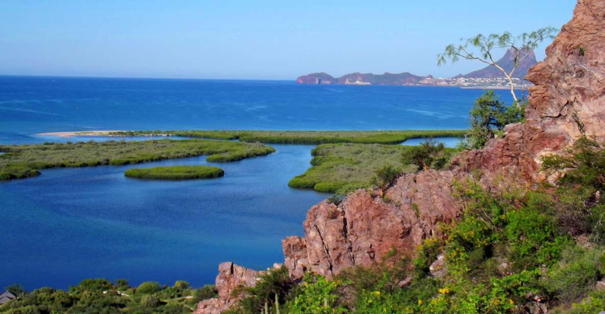 Sonora: Tour of the Beach and Viewpoint of San Carlos - Indulging in Delectable Seafood Dishes