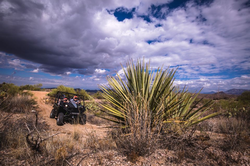 Sonoran Desert: Guided 2-Hour UTV Adventure - Customer Reviews