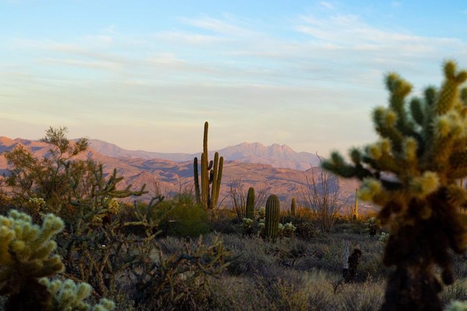 Sonoran Desert: Sunset Jeep Tour With Tonto National Forest - Important Considerations