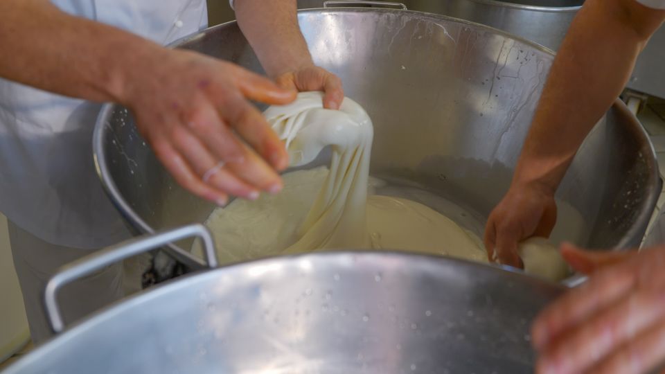 Sorrento: Mozzarella Tasted on an Electric Mountain Bike (E-MTB) - Electric Mountain Bike Tour