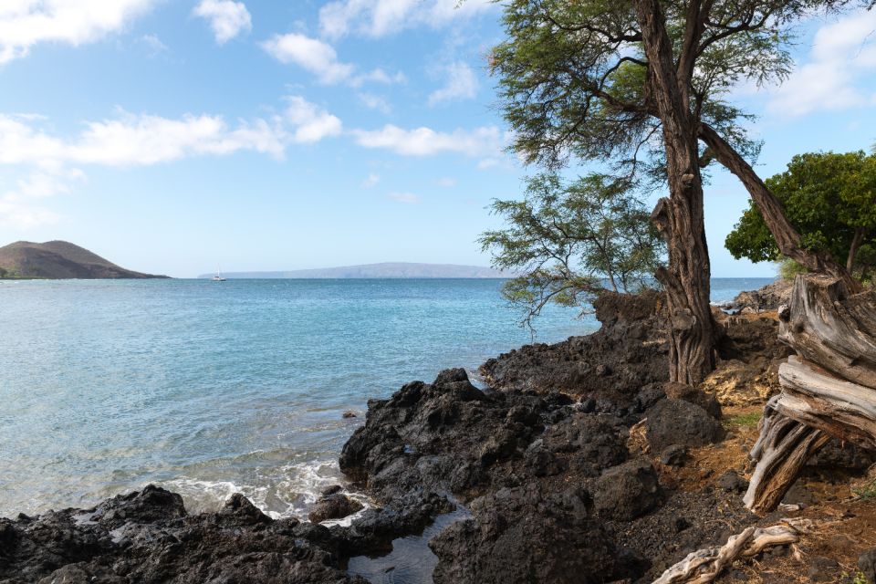 South Maui: Beach Parks Self-Guided Driving Tour - Meeting Point and Start