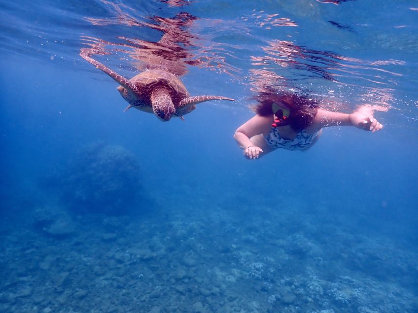 South Maui: Molokini Crater and Turtle Town Snorkeling Trip - Snorkeling Gear and Amenities