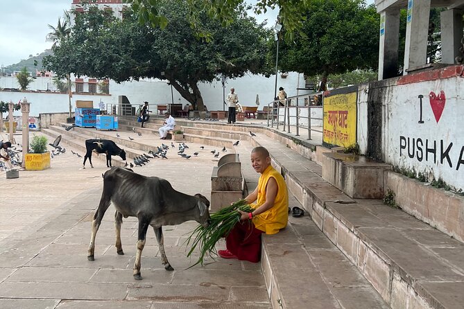 Spiritual City Walking Tour-THE Pushkar Route - Cancellation and Rescheduling Policy