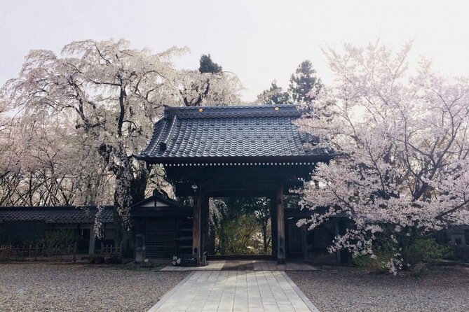 (Spring Only) 1-Day Snow Monkeys & Cherry Blossoms in Nagano Tour - Guest Experience