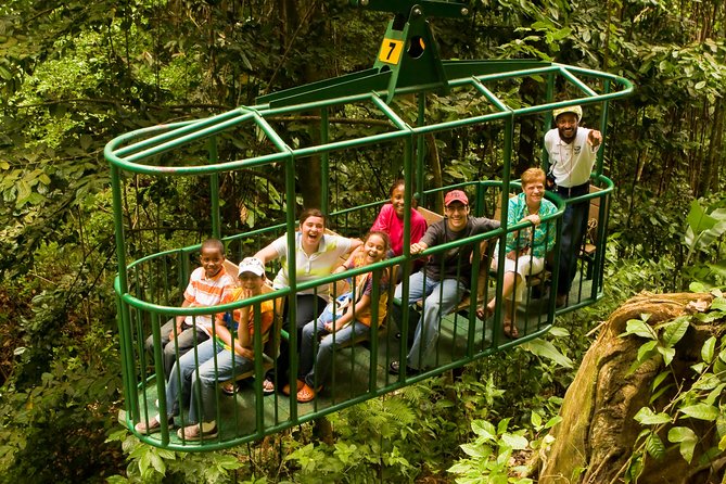 St. Lucia Zip Line, Aerial Tram and Hiking Tour Ultimate 3 - Age and Health Requirements