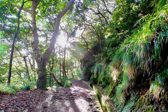 Sunrise Tour @ Pico Do Areiro | Half Day 4x4 Tour - Tour Inclusions and Exclusions