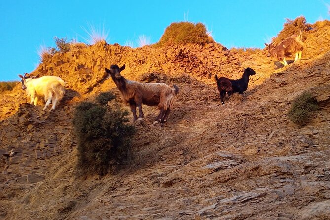 Sunset Jeep Tour in Crete - Cretan Dinner and Wine