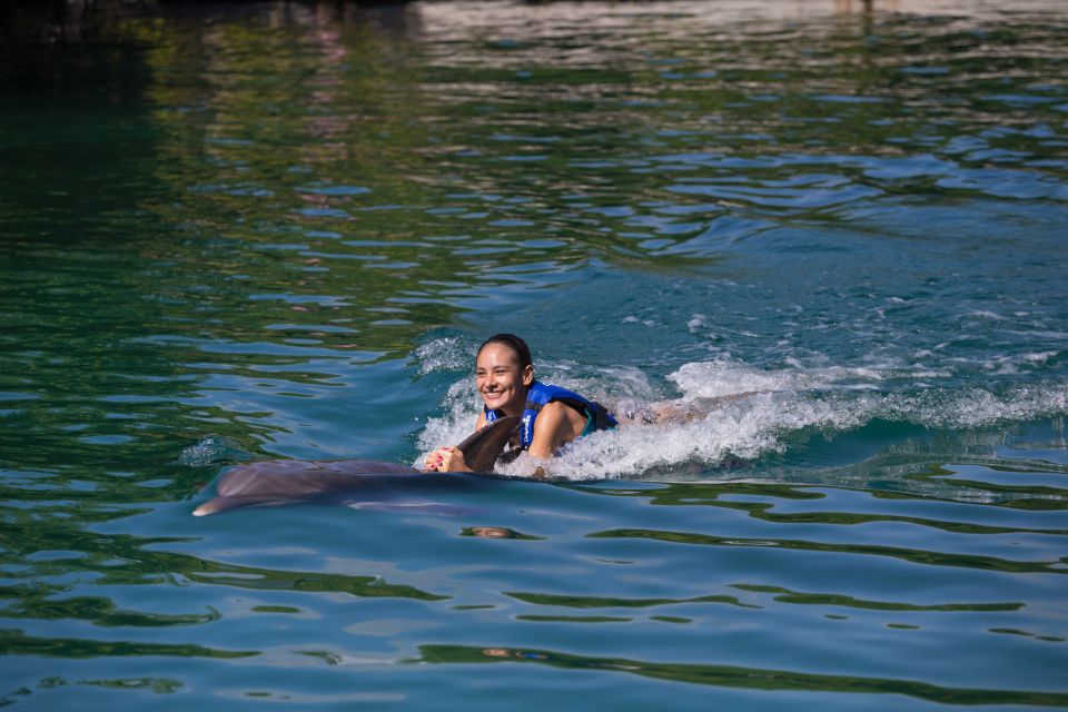 Swim With Dolphins Ride - Riviera Maya - Excluded From the Package