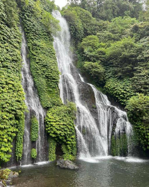 Swim With Dolphins, Ulundanu Bratan & Banyumala Waterfall - Frequently Asked Questions