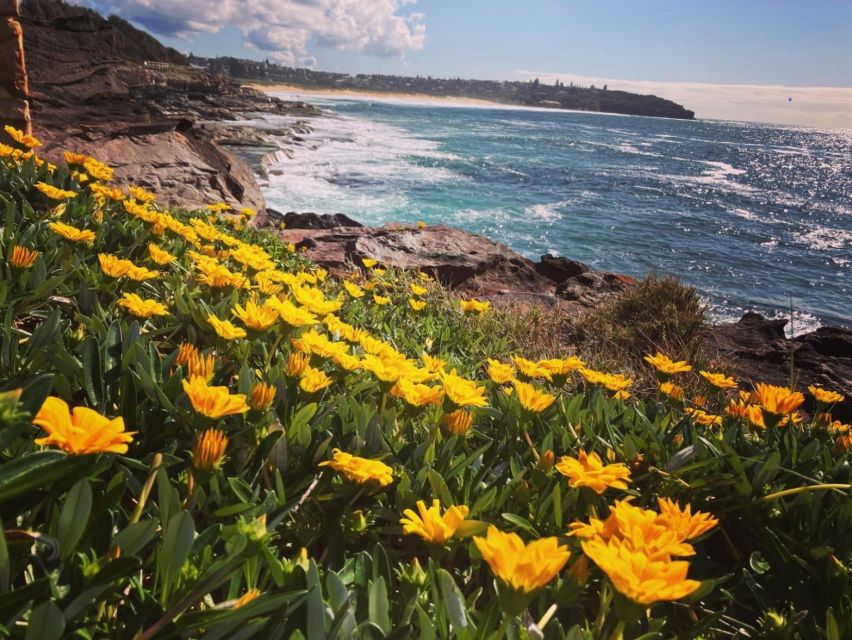 Sydney: Ku-Ring-Gai Chase National Park Day Tour With Lunch - Highlights of the Tour