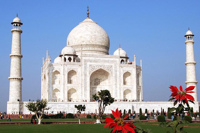 Taj Mahal & Agra Fort With Mother Teresas Missionaries Of Charity From Delhi - Experience With Mother Teresas Missionaries