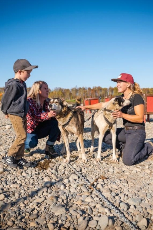 Talkeetna: Mushing Experience With Iditarod Champion Dogs - Price and Booking